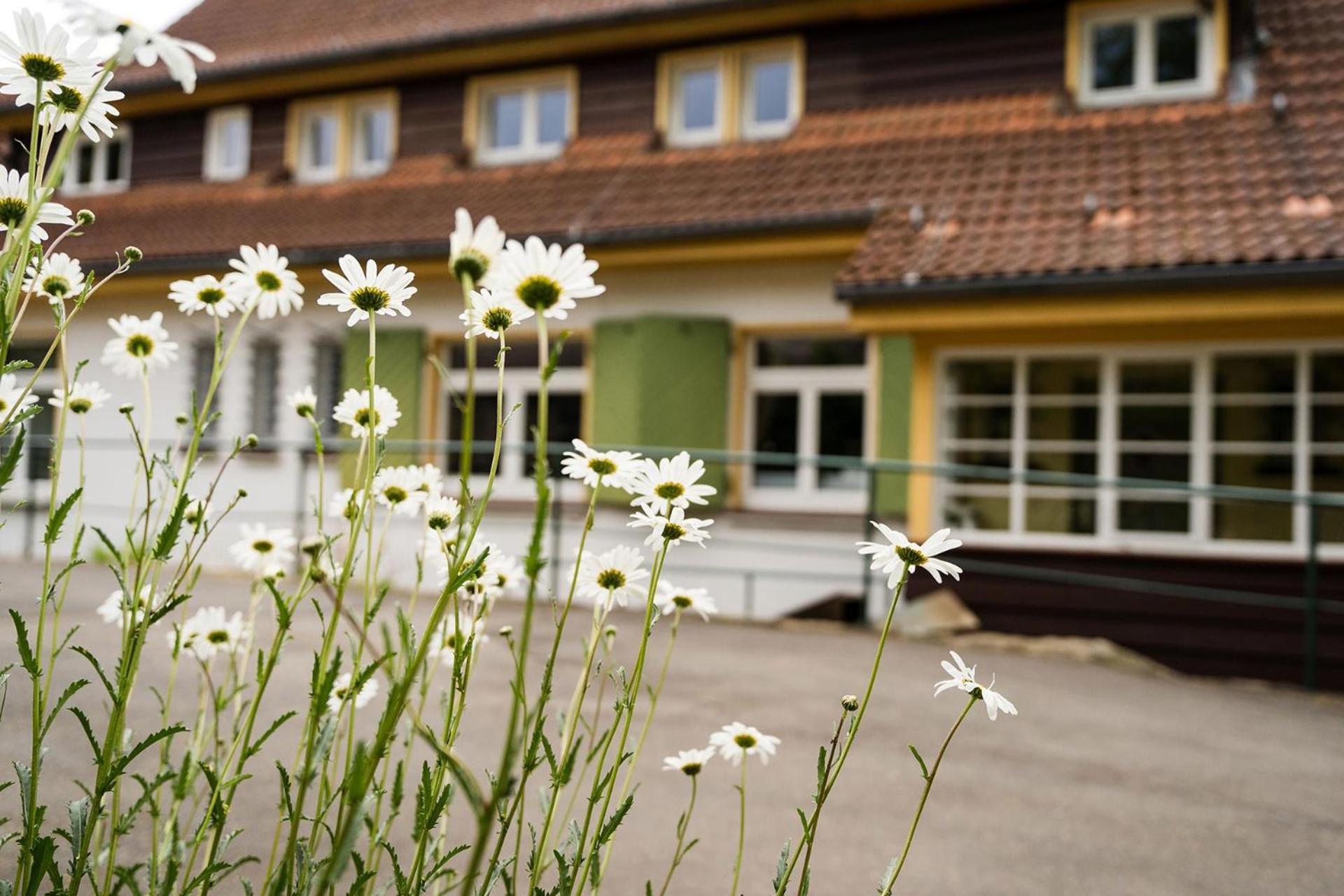 Pension Zum Hexenstieg シールケ エクステリア 写真